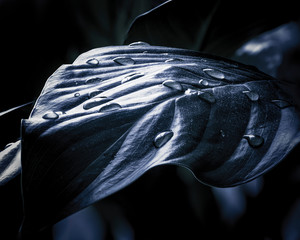 Naklejka premium Hiver automnale 