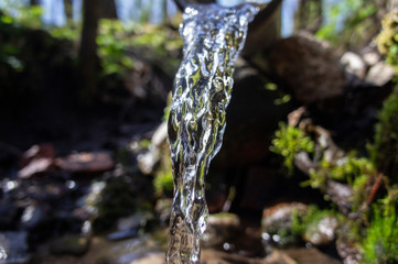 Transparent water flows from a spring in the wild close-up. Macro photo.