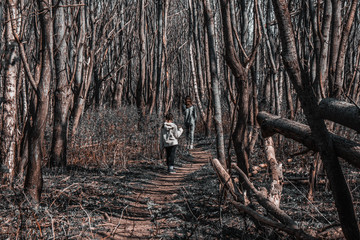 children stand in the forest where a hurricane tumbled down a lot of trees
