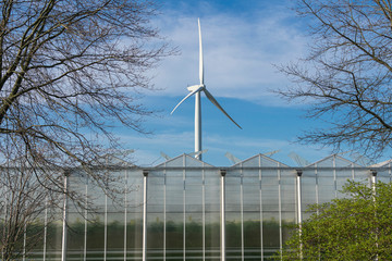 Wind turbine behind a greenhouse where tomatoes are grown, the photo was taken horizontally and in...