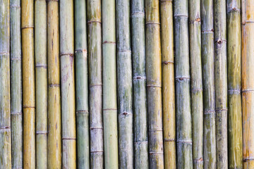 Soft Focus,Bamboo fence background that was made to decorate the garden to look naturally beautiful...