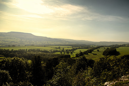 A View Across Wensleydale