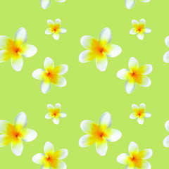 Vector seamless pattern of light yellow plumeria flowers. The flowers are made in a realistic style using the gradient mesh technique. Great for scrapbooking and abstract floral backgrounds.