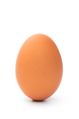 fresh chicken egg on a white background