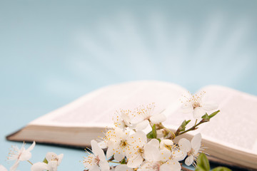 Spring flowers on a background of an open bible with rays of light. A symbol of awakening and new life.