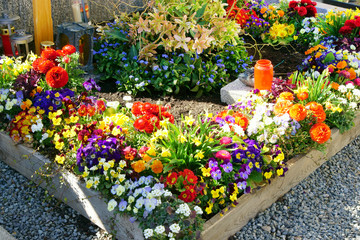 Grab mit farbenfroher Frühlingsanpflanzung auf dem Friedhof, copy space