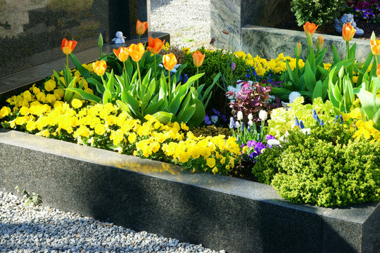 Grab auf Friedhof mit Fr&uuml;hlingsblumen, copy space