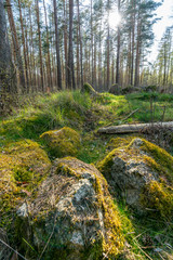 Prehistoric Megalith Stones Near Haldensleben