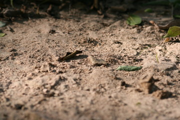 Diferentes texturas de paredes