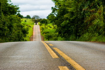 Road leading to a tree