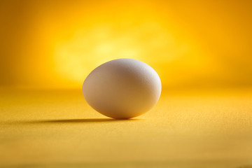White egg on yellow background