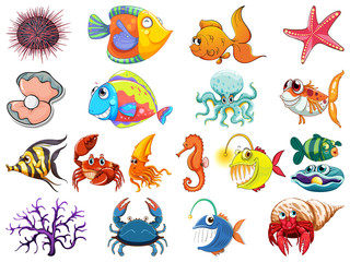 Large set of sea creatures on white background