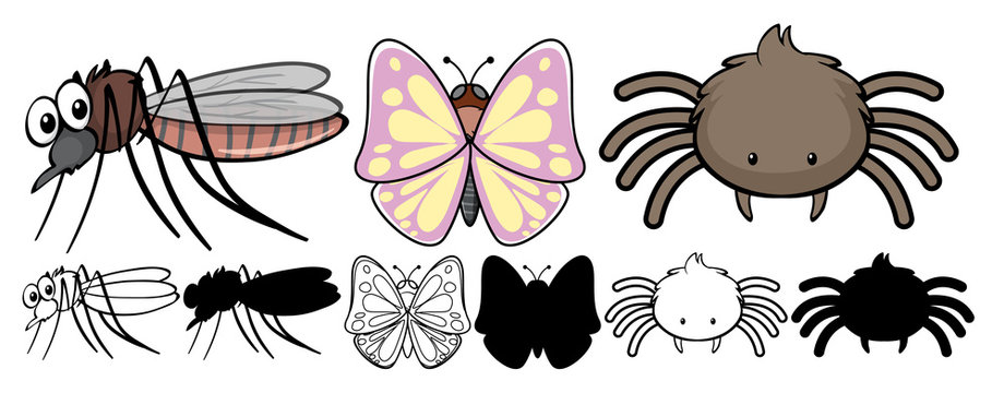 Set of simple insect cartoon