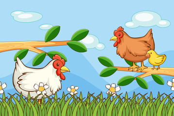 Obraz na płótnie Canvas Scene with chickens in the garden