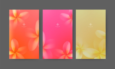 006-0120 Real LeafSet of minimal banner for branding packaging. Tropical summer frangipani flower background. For spa resort luxury hotel, yoga, beauty, cosmetic, organic texture. vector illustration.