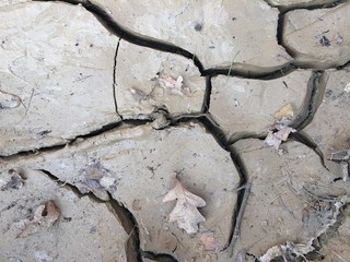 Wet clay with cracks closeup plan texture. Wet barren soil in cracks background. Gray and beige...