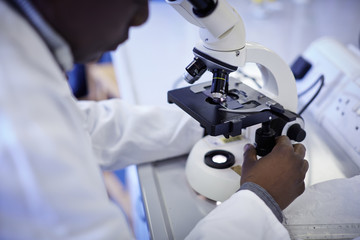 A scientists adjusts a laboratory microscope