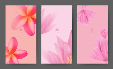Branding Packaging Pink Soft blossom Flower nature background, logo banner voucher, spring summer tropical, vector illustration