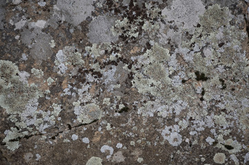 texture of stone