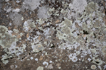 texture of stone