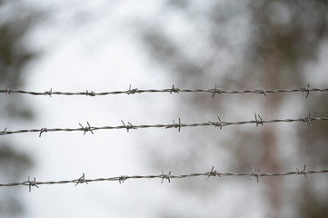 barbed wire fence