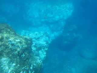 Naklejka na ściany i meble underwater scene with coral reef