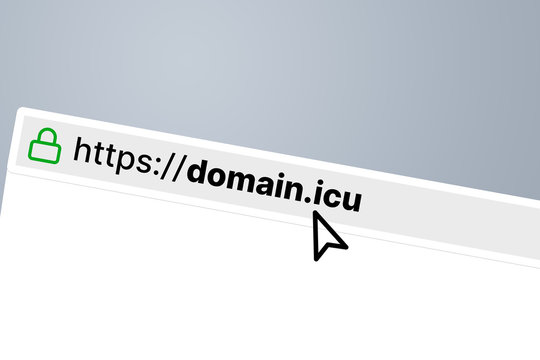 .icu Domain Url In A Browser Bar