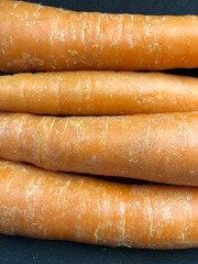 zanahorias de estudio