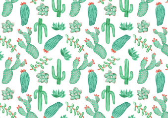 pattern of watercolor succulent plants