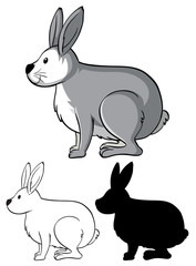 Set of rabbit cartoon