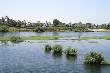 Obraz premium Nile and views of the River