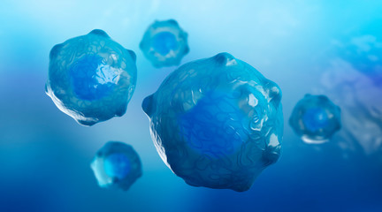Fototapeta premium Embryonic stem cells , Cellular therapy , 3d rendering