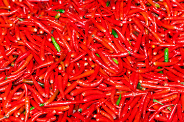 Fototapeta premium red and green chili peppers