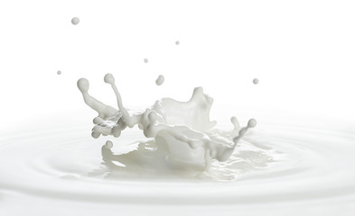 pouring of milk splash isolated white background