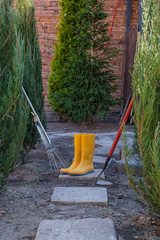 A leaf rake , a hoe, and yellow rubber boots on the concrete path in the garden between the...