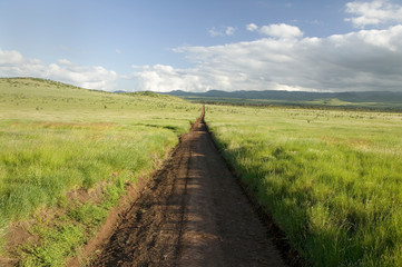 Fototapeta na wymiar Dirt road to infinity through green grasslands of Lewa Wildlife Conservancy in North Kenya, Africa