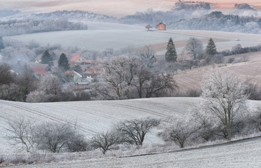 Winter Rural Landscape With With Frosted Wavy Plowed Fields, Trees In Hoarfrost And Old Windmill On The Hill. Beautiful Morning On The Wavy Arable  Fields Of Czech Republic. Rural Moravian Pastoral.
- 338395875