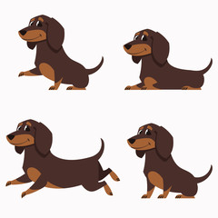Dachshund in different poses. Set of cute pets in cartoon style.