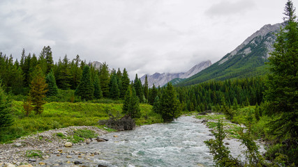 Fototapeta na wymiar Johnston Canyon Trail - Banff Nationalpark