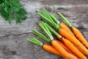 Bunch of fresh carrots