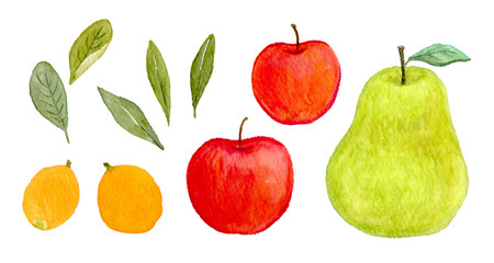 りんご　洋ナシ　びわ　果物　フルーツ　水彩