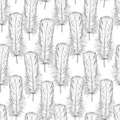 Monochrome seamless pattern of bird feathers