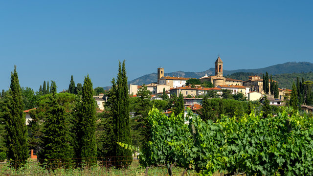 Summer landscape in Arezzo province, italy