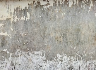 texture of wooden plywood with peeling old white paint