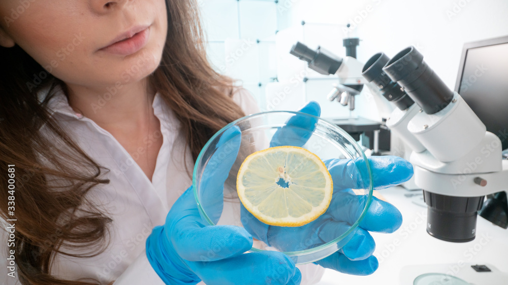 Wall mural Inspection of the quality of vegetables and fruits in the laboratory of food quality