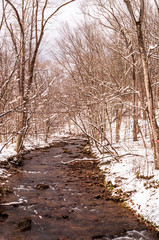 A stream in snowy woods in spring time in Deerfield Township, Pennsylvania, USA