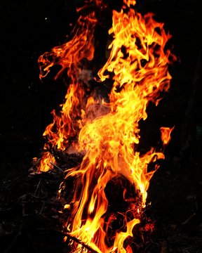 fire in the dark with a picture of horse