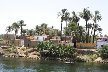 Obraz premium Nile and views of the River