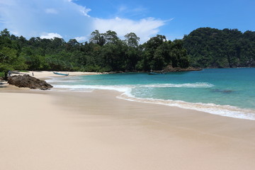 Fototapeta na wymiar tropical beach with coconut palm trees