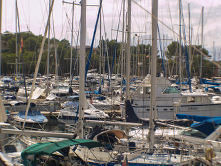 busy yacht harbour